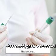 L estet group, школа прикладної естетики фото