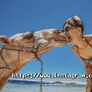 Love Travel, туристична фірма фото