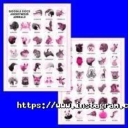 Laconic Design, веб-студія фото