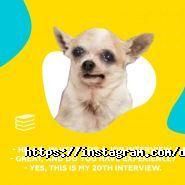 Знання, курси англійської мови фото