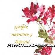 Excellent Life, навчальний центр фото