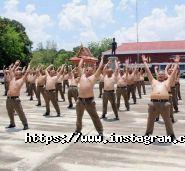 Пальміра Фіт, фітнес-клуб фото