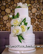 Zerno, кав'ярня фото