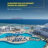 Fly Me, агентство сімейних подорожей фото