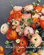 Квіти від Катерини, квітковий магазин фото