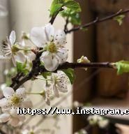 Воздвиженський, готель фото