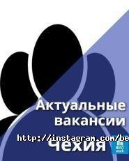 Language Universe, центр вивчення іноземних мов фото