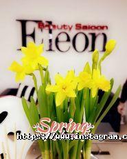 Beauty Salon Eleon, салон краси фото