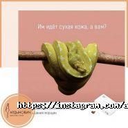 Ардынович SPA, студія масажу фото