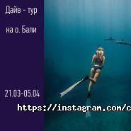 Чайка, туристичне агентство фото