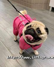 Тритон, зооцентр фото