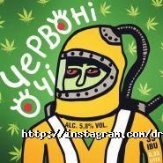 Draft & Craft, магазин-паб авторського пива фото