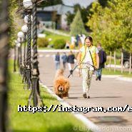 Equides Club, парково-готельний клуб фото