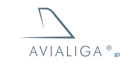 Avialiga, туристическая компания фото