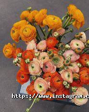 Квіти від Катерини, квітковий магазин фото