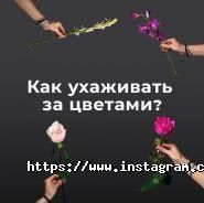 Фанфан Тюльпан, квітковий магазин фото