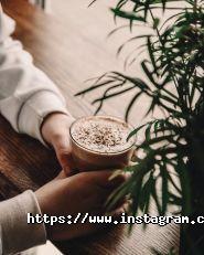 Stable cup, тренінги для бариста фото