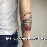 Cartel Тату, тату-салон фото