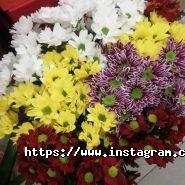 Квіткова Галерея, магазин квітів фото