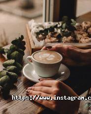 Stable cup, тренінги для бариста фото