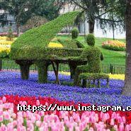 Klass Tour, туристичне агентство фото