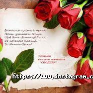 Спойлер, автошкола фото