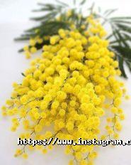 WoMan, салон краси фото