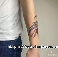 Cartel Тату, тату-салон фото