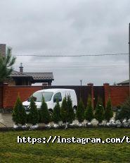 Твій сад фото