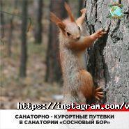 Вокруг света, туристическое агентство фото