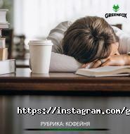 GreenFOX, фотовидеостудия с хромакей фото