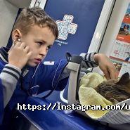 Ветдопомога, ветклініка фото