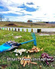 Domik Hobita, котеджі для відпочинку фото