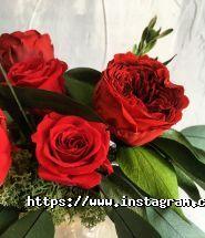 Etoile Flora, студія дизайну фото