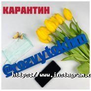 Лісові герої, ЕКО-ТАБІР фото