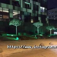 SkyDrive такси фото