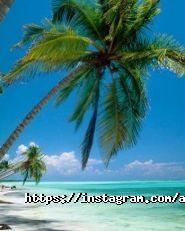 Алмарі-Тур, туристична компанія фото