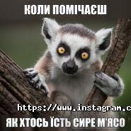Взаперти, квест-комната фото