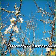 Едем, база відпочинку фото