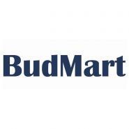 Будмарт, строительный магазин фото