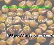 Агроген Ново, ветеринарно-діагностичний центр фото
