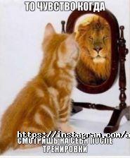 Акварена, навчально-спортивний центр фото