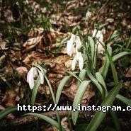 Style Video, фото-відео студія фото