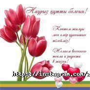 Zooroom, магазин зоотоваров фото
