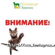ВетСервіс, ветклініка, зоомагазин, грумінг фото