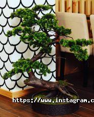 ЯпонаХата, служба доставки їжі фото