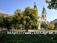 Адвокат Виноградський Антон Павлович фото