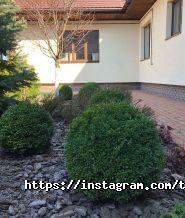 Твій сад фото