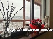 Agora Chalet, Агора-шале, відпочинок в Карпатах фото