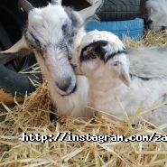 Фотограф Професійний фотограф Юра Бочко фото